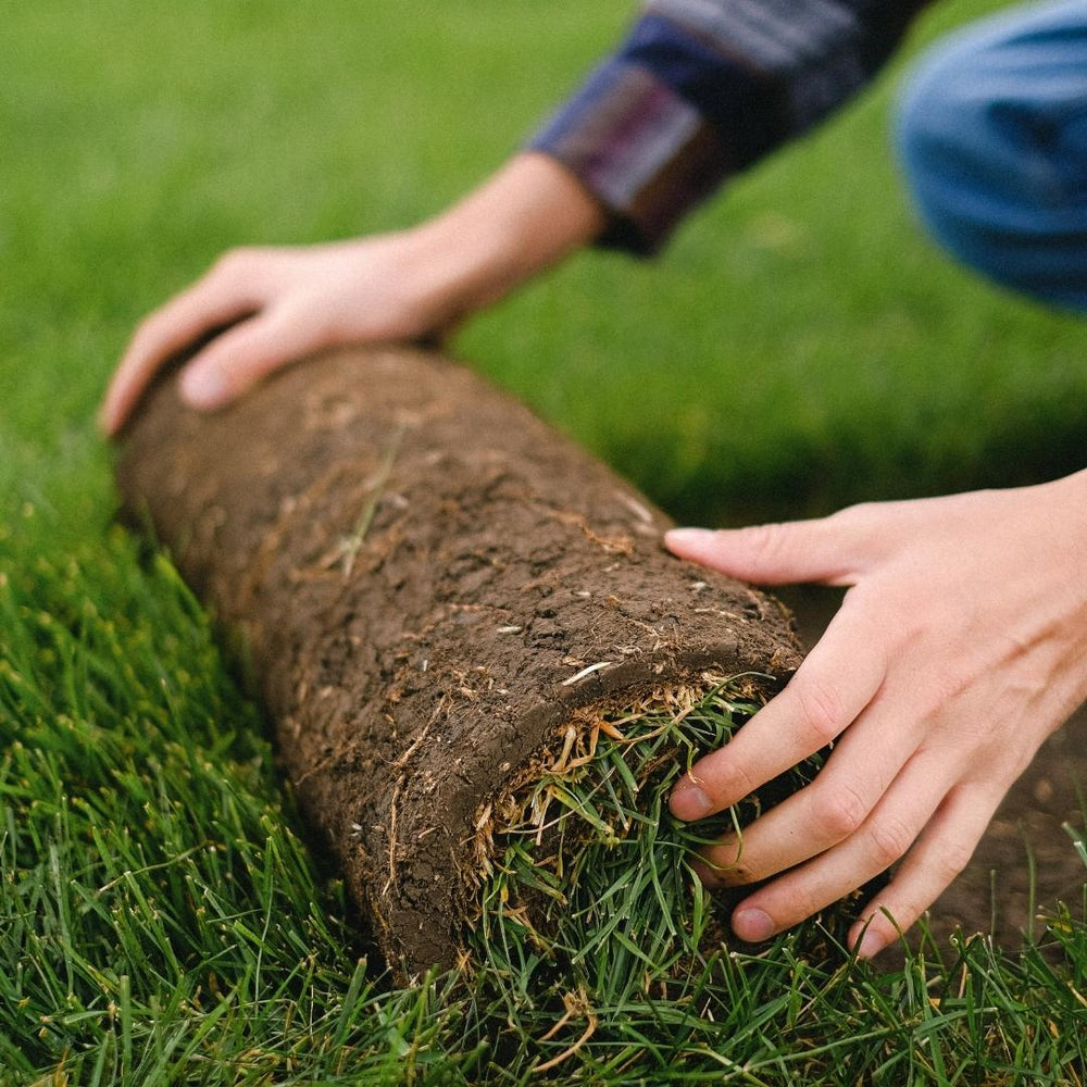 About - Brisbane Turf Traders
