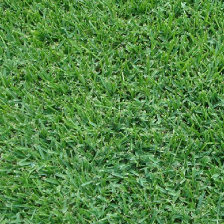 Turf Laying Services - Brisbane Turf Traders